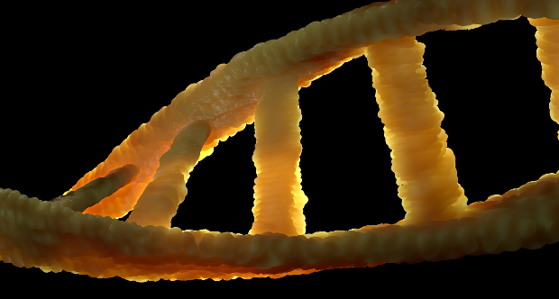 DNA