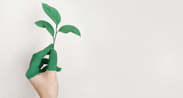 Half Earth_ una sfida ecologica, ma innanzitutto etica