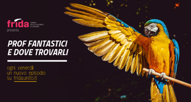 Prof fantastici e dove trovarli