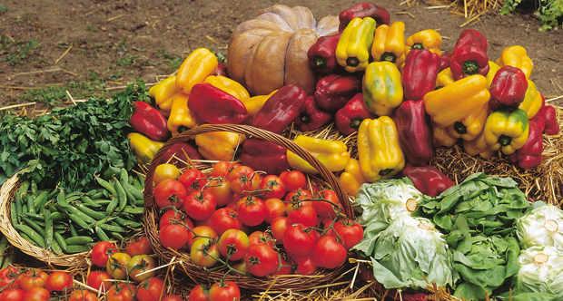 Copertina vegetali_def