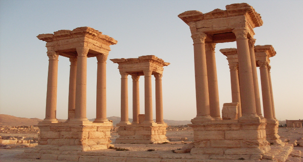 palmyra