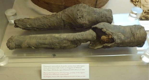 Gambe dalla tomba di Nefertari_copertina