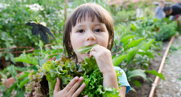 Citizen Salad.png