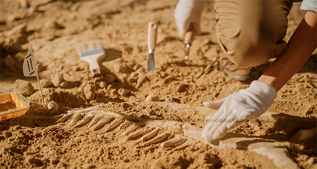 archaeology.png