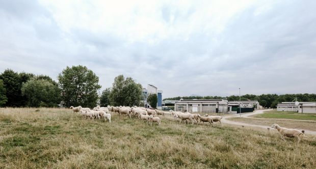Agraria e Veterinaria Ph Guermani 002.jpg
