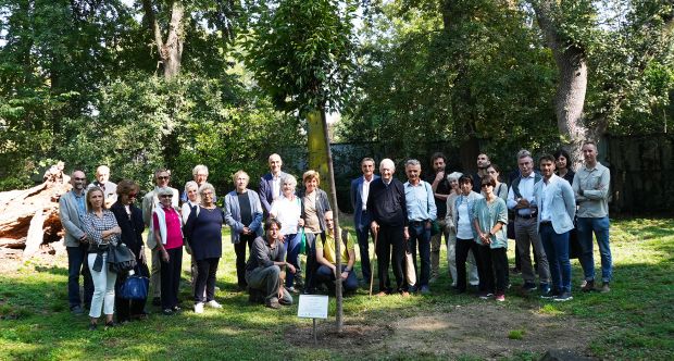 weTree olmo in ricordo di Alma Dal Co