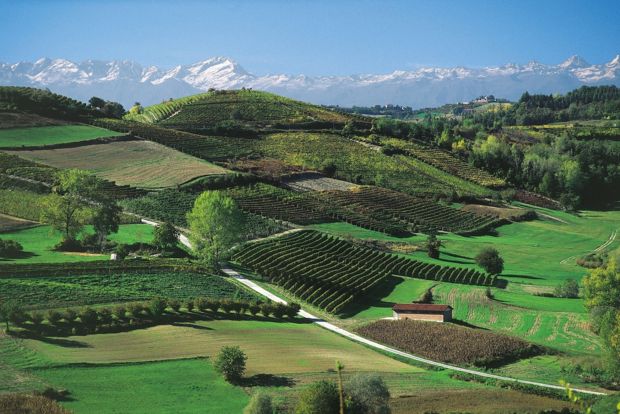 Paesaggio Langhe, Roero e Monferrato