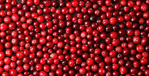 mirtillo rosso
